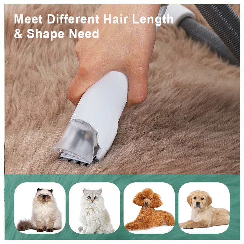 Lightweight 3.9kg Pet Grooming Vacuum Cleaner Low Noise 10KPa Suction for Dogs Cats