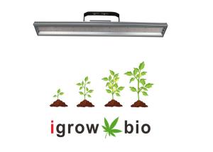 China 4000lm 300W 3500K Vegetable LED Grow Lights wholesale