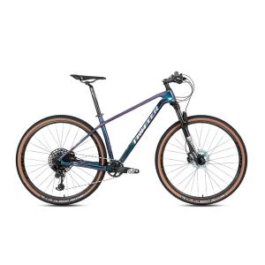 China 27.5 29er MAX RS Carbon Fiber Mountain Bike RETROSPEC 13 Speed wholesale