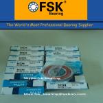 Japan NTN Bearings NTN 60/22 Bearing China Bearing Exporter