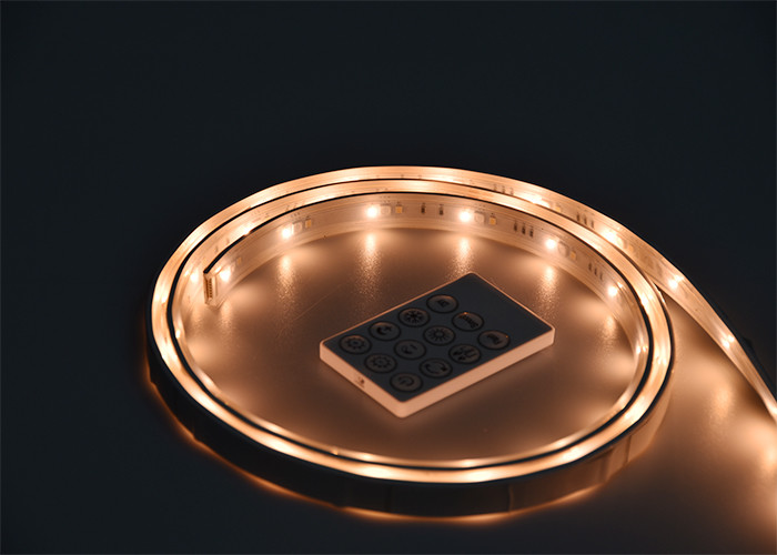 DC12V Indoor Night 7W/M 25000H RGBWW LED Strip kit