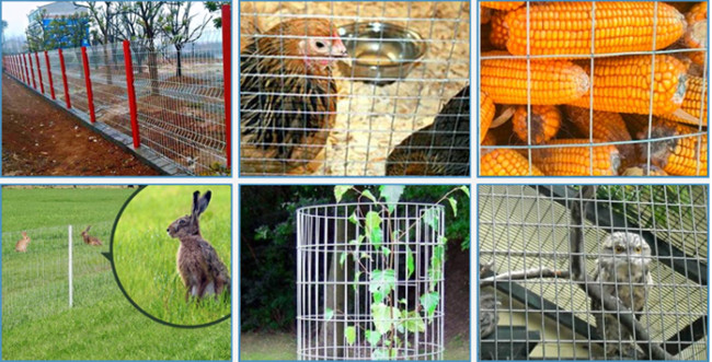 4x4 1mm Electro Galvanized Welded Wire Mesh Panels 1/2 Inch Hole