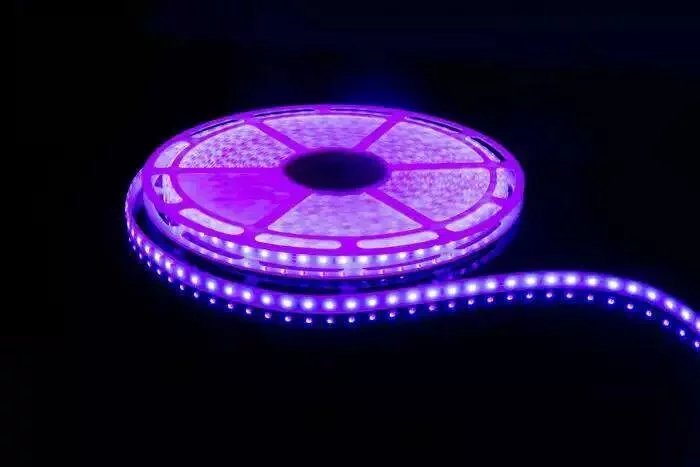 Newest 10m 15m 20m per reel 5050 Single Color LED Strip No Volt Drop 24V 60LEDs/m