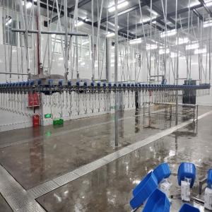 China 500PCS Automatic Poultry Slaughterhouse Equipment Stainless Steel Chicken Farming Line wholesale