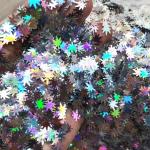 OEM Stock Polyester Holographic Silver Marahuana Leaf Glitter Shapes Party
