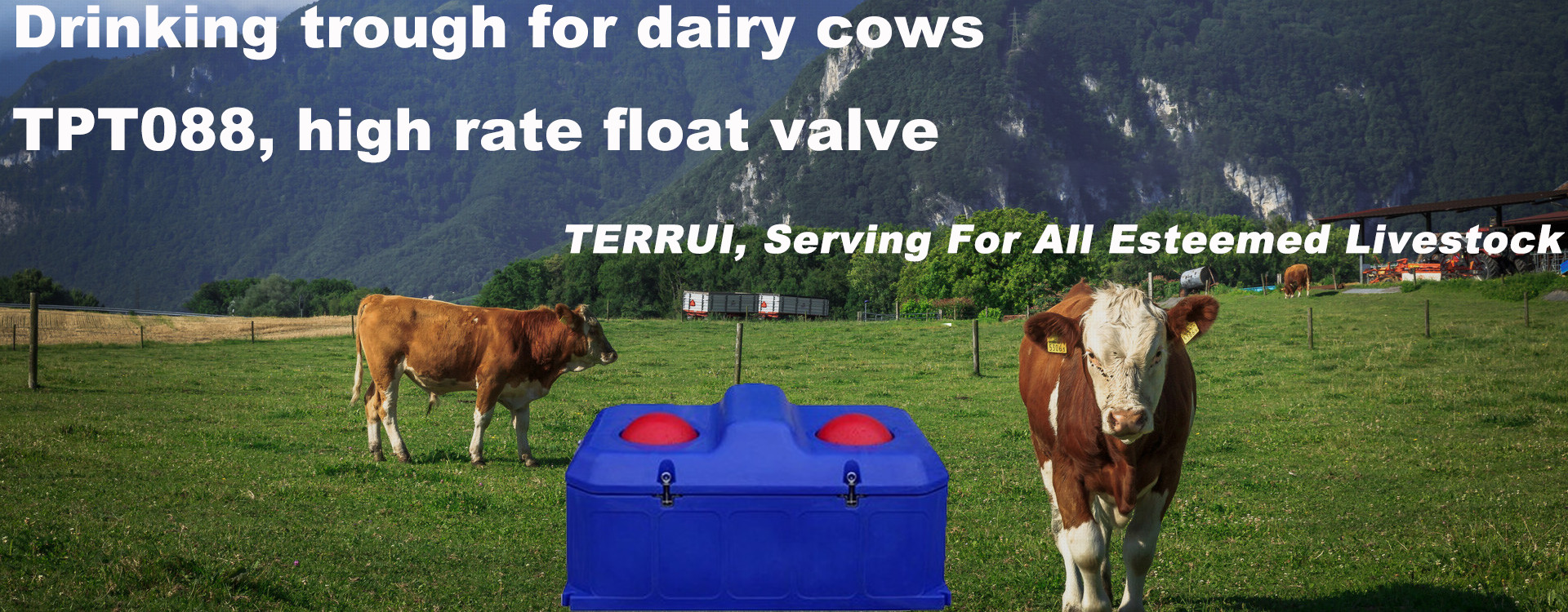 Anti Freeze Two Balls LLDPE Livestock Water Tank 85L For Cows