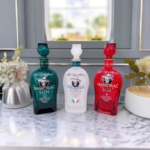 China Tequila Frosted Glass Bottle/Frosting/ Hot Stamping/Hollow Stoppers wholesale