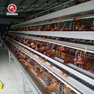 China Three Tiers 120 Birds Capacity Battery Chicken Cage A Type wholesale
