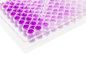 China Polystyrene 96 Well Cell Culture Plate For Experimental Research wholesale