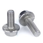 U10mm M20 10.9 Din 6921 Zinc Plating Hex Flange Bolt Stainless Steel Fasteners