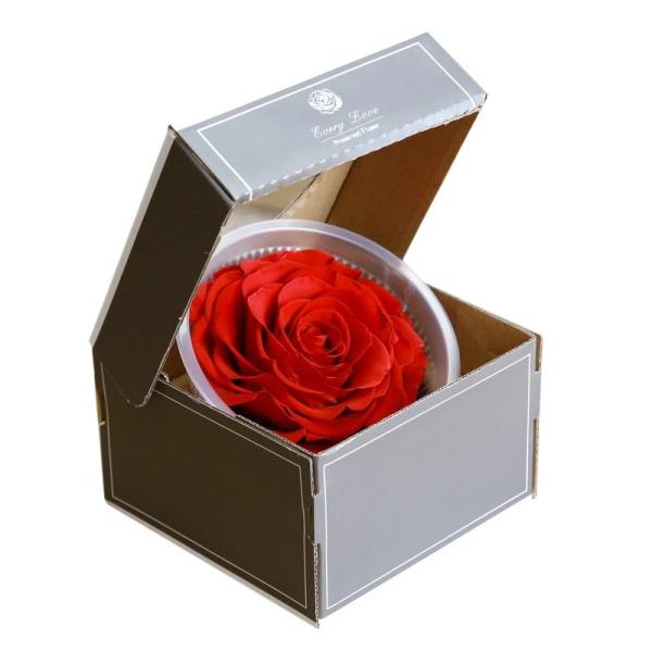 9-10cm Dried Preserved Flower Roses Forever Gift for Birthday Valentines