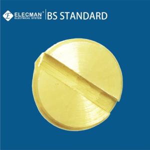 China BS4568 Brass Slotted Electrical Conduit Plugs 20mm-32mm wholesale
