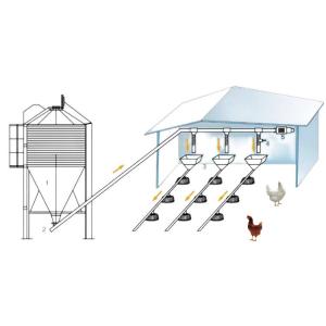 China 45-65 broiler Chicken Breeding Equipment HX Chicken Feed System wholesale