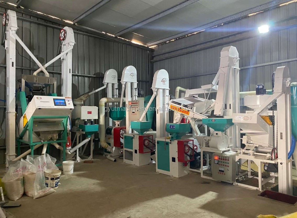 Commercial Rice Mill Machinery for 50tpd Rice Milling Processing Raw Material Rice