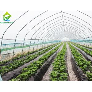 China Commercial Single Span Poly Tunnel Greenhouse For Tomatoes wholesale