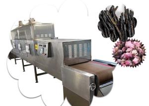 China Professional Microwave Drying Equipment wholesale
