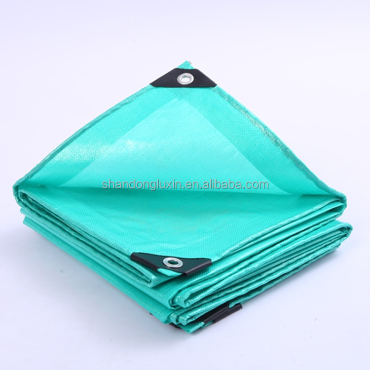UV Protected Plastic Fabric Sheet for Agriculture/Industrial Cover in Standard Size