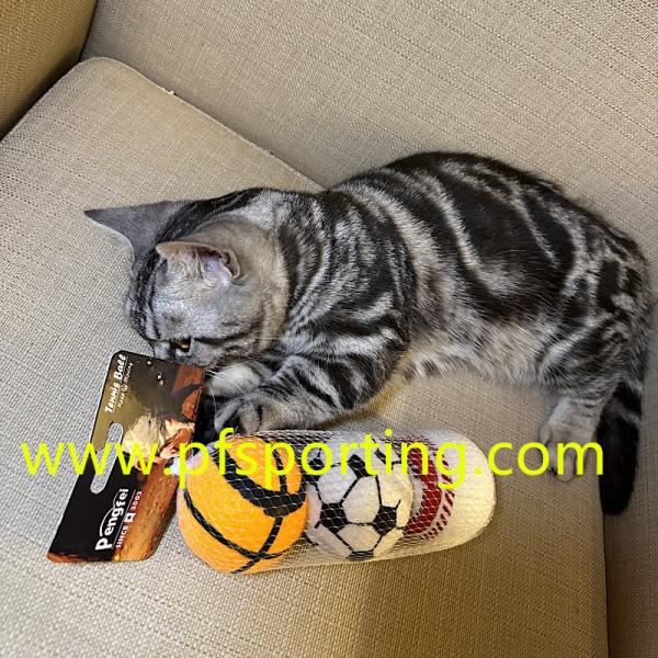 Factory Customized Logo Printed Rubber Tennis Ball Eco-friendly Material Dog