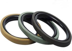 China Custom Holes Seal PTFE Wear Resistant Glyd Ring wholesale