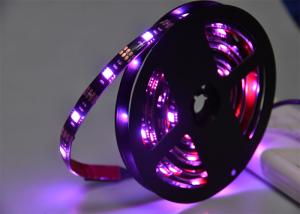 China 30leds/m RGBW LED Strip Light wholesale