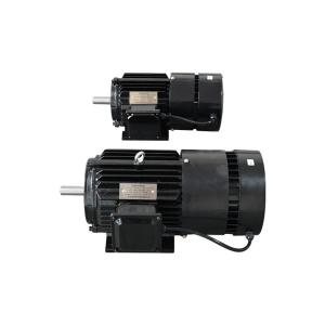 IMB3 IMB35 Permanent Magnet Synchronous Motor Three Phase Pmsm 3000rpm