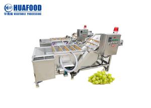 China 500kg/h Grape Washing And Drying Machine SUS 304 Stainless Steel wholesale
