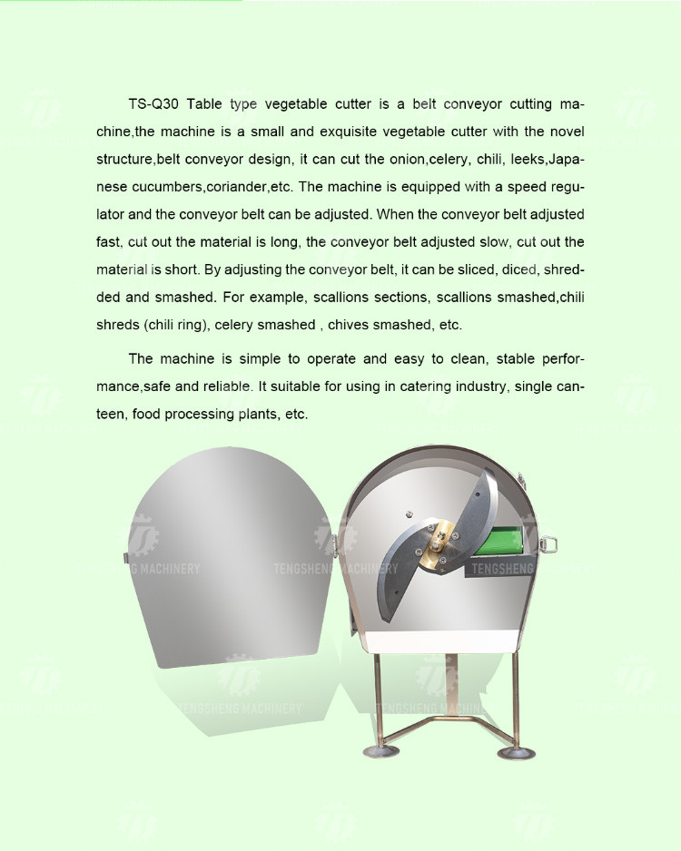 SS304 Vegetable Processing Machine Mini Electric Tabletop Onion Slicer Food Processor