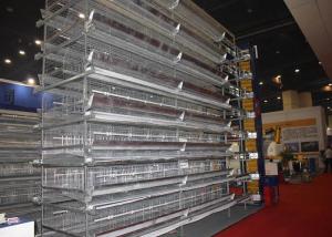China South Africa Livestock Farming Equipment Galvanized Frame Modern Design wholesale