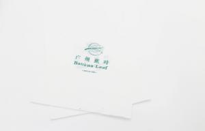 China Perforated Vest T Shirt Shopping Biodegradable Plastic Bags Gravnre Printing wholesale