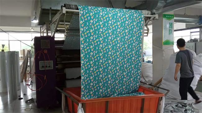 115gsm Polyester Taslon Fabric 75Dx160D Digital Printed