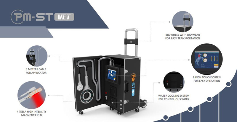 Equine Magneto Therapy EMTT PEMF Physiotherapy Machine For Muscle Swelling And Inflammation