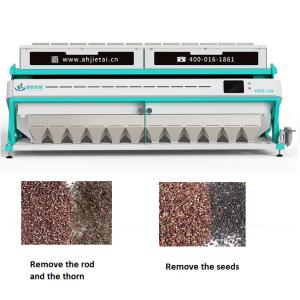 China Large Scale Intelligent Pepper Color Sorter Machine Manufacturer 11T/H - 19T/H wholesale