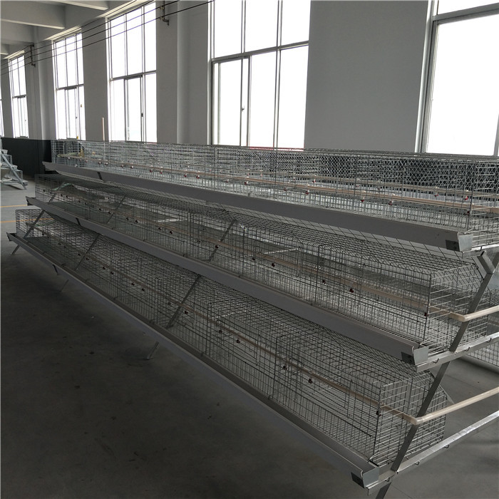 Durable A Type Baby Chick Cage Low Death Rate With Manual Feeding System