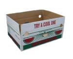 Customized Tomato Packing Boxes With Handle UV / Varnishing Coating