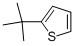 China 2-T-BUTYLTHIOPHENE CAS: 1689-78-7 wholesale