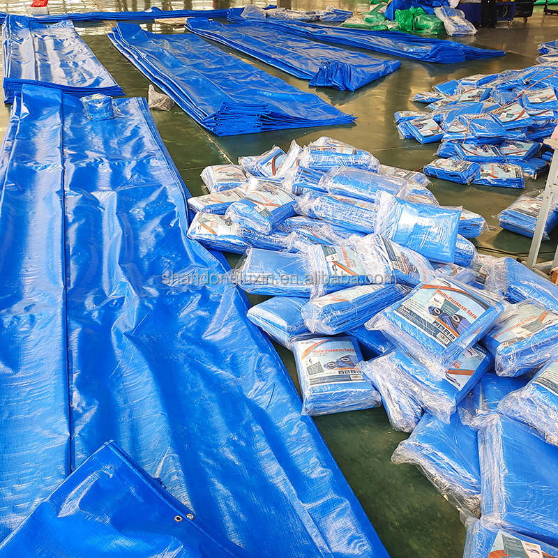 Coated PE Tarp Waterproof Light Weight Roof Cover Blue Polyethylene Tarpaulin Sheet PE