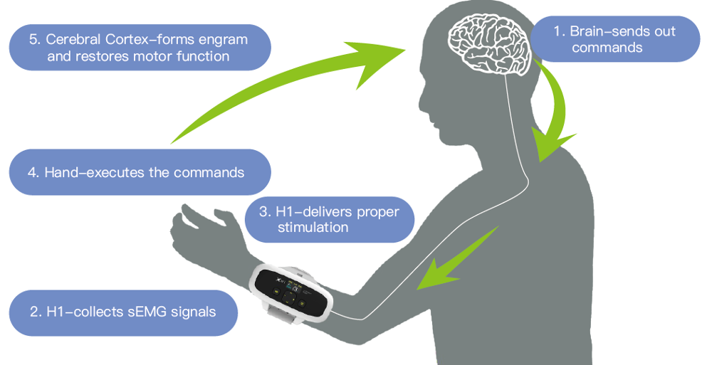 Smart Low Frequency Therapy Device , Electrical Muscle Stimulation Devices For Stroke
