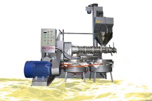 China Industrial Screw Oil Press Machine Alloy Material For Peanut Soybean wholesale