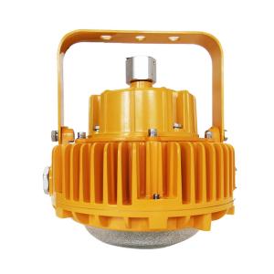 China OEM Waterproof 80w 100w LED Explosion Proof Light Fixture 120L/M wholesale