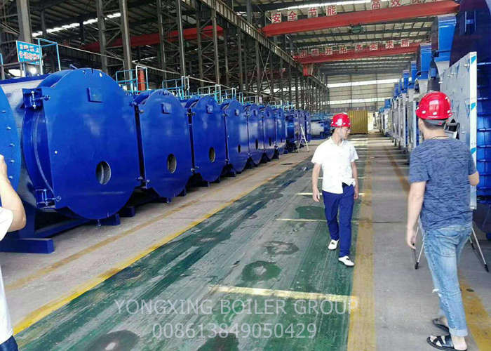 Packaged Gas Fired Steam Generator / Condensing Steam Boiler 0.5-6 Tons