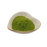 40% Seaweed Extract Green Powder