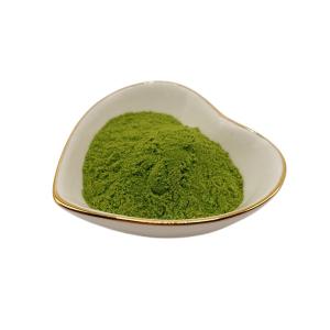 China 40% Seaweed Extract Green Powder wholesale
