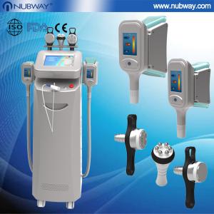China Hot selling body slimming weight loss cryolipolysis cold laser wholesale