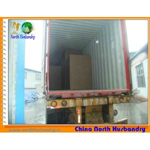 China buy poultry evaporative water cooling pad images wholesale