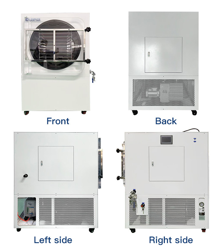 Double Compressor Vegetable Freeze Dryer Fruit Flower Vacuum Freeze Drying Equipment