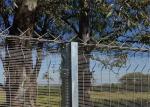 358 High Security Fence Mesh