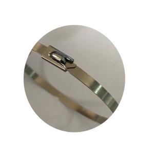 China 304 316 Stainless Steel Zip Tie Naked Snap Strip 14 Inch Length wholesale
