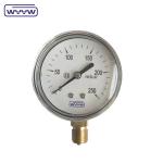 63mm stainless steel case bottom mbar kpa bellows pressure gauge