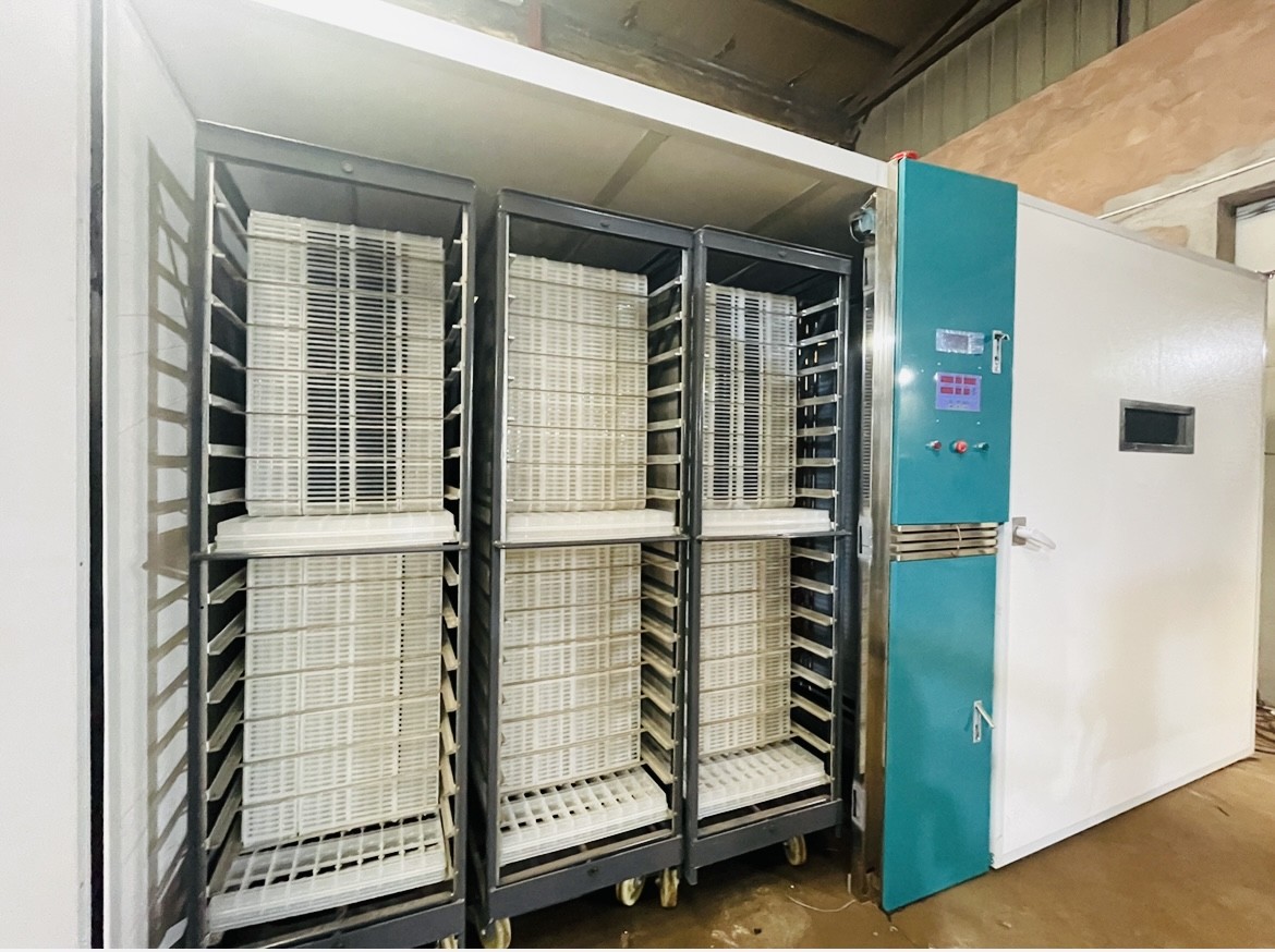 Automatic Large Scale Chicken Egg Hatching Machine Hatching Rate 98%