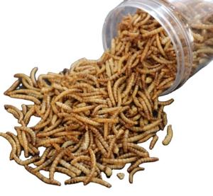 China Sino Crown Mealworms Fish Food With High Calcium Nutrition Facts For Dry And Cool Storage wholesale